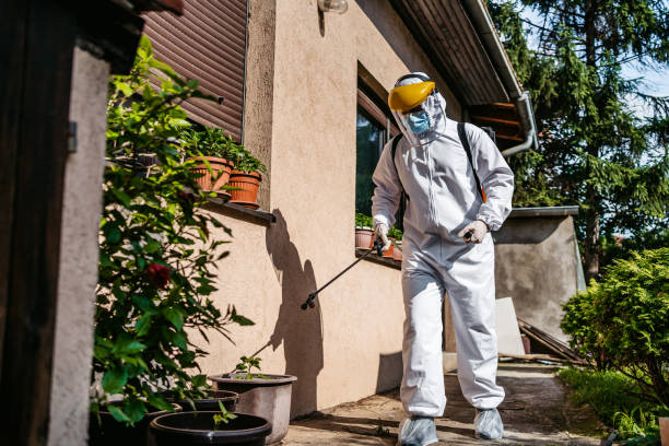 Thoreau, NM Pest Control Company