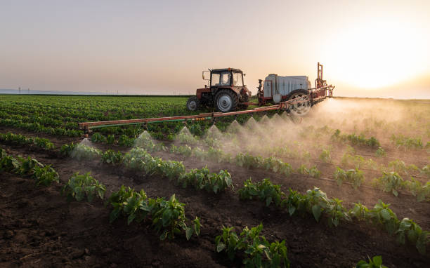 Best Best Pest Control Companies  in Thoreau, NM