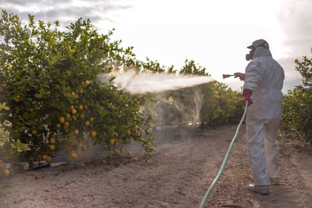 Best Wildlife Control Services  in Thoreau, NM