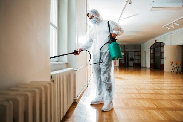 Best Affordable Pest Control Services  in Thoreau, NM